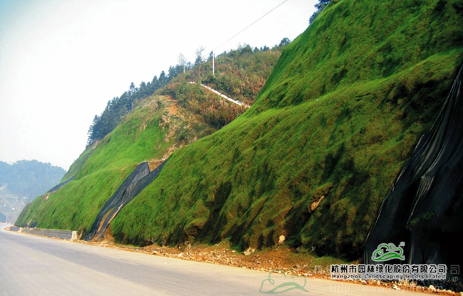 彩运网(中国游)官方网站