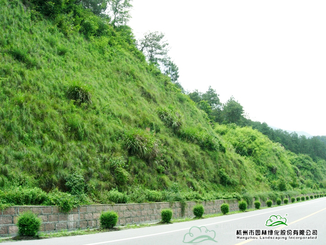 彩运网(中国游)官方网站