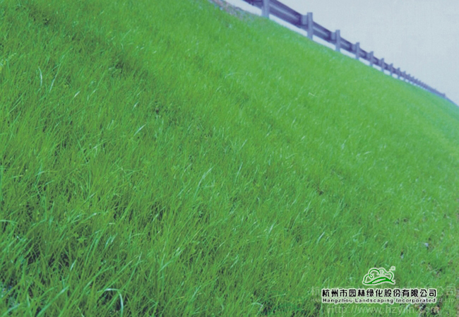 彩运网(中国游)官方网站