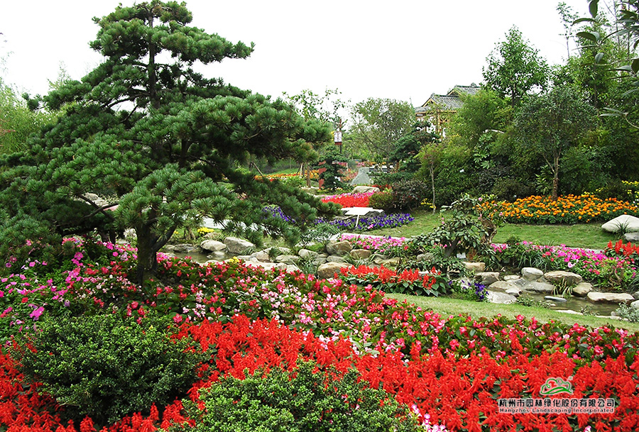 彩运网(中国游)官方网站