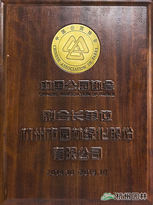 彩运网(中国游)官方网站