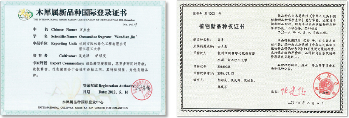 彩运网(中国游)官方网站