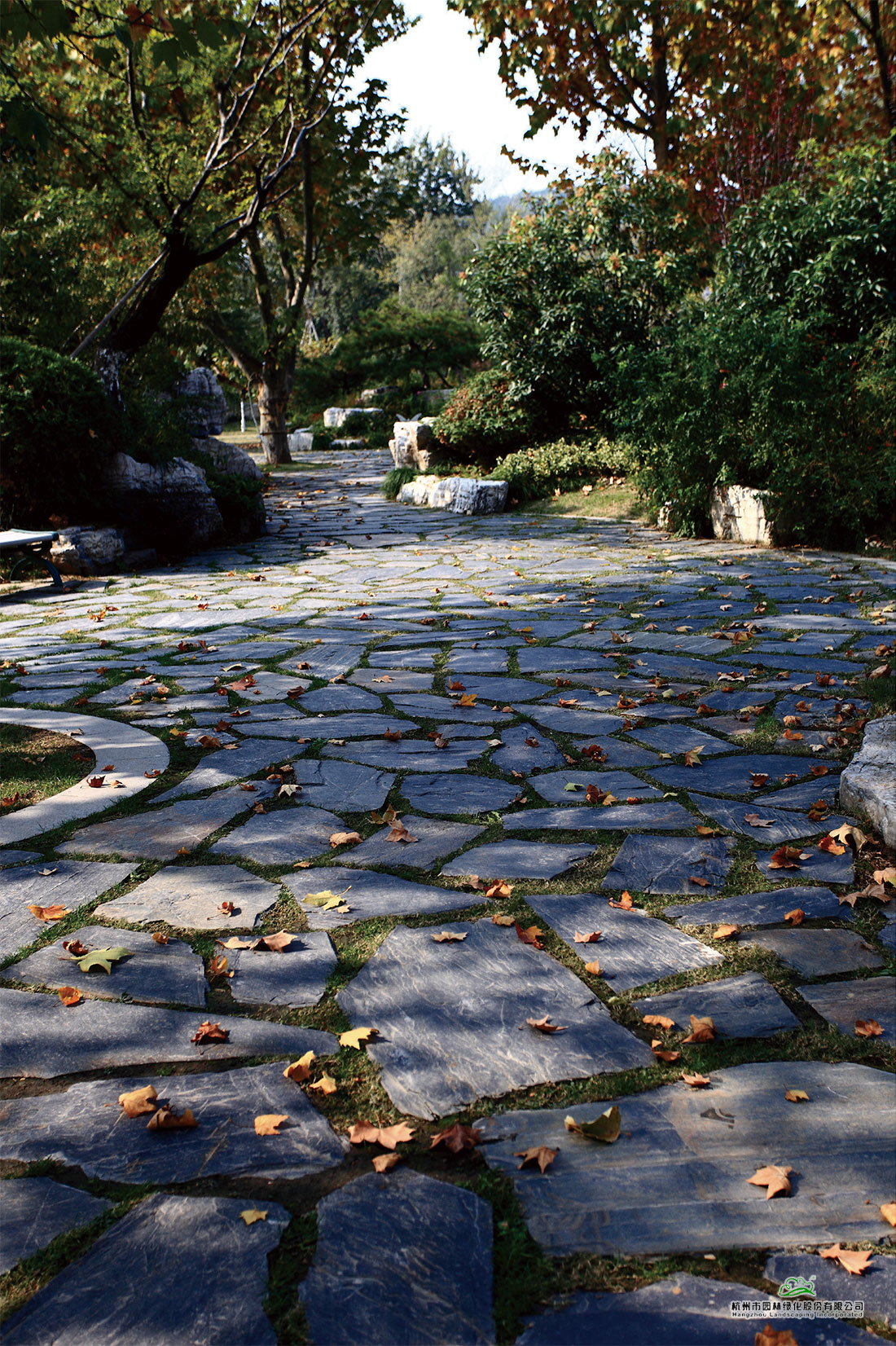 彩运网(中国游)官方网站