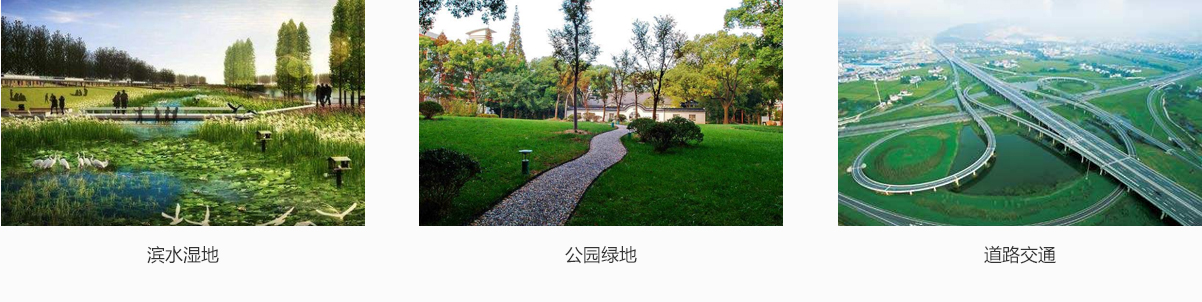 彩运网(中国游)官方网站