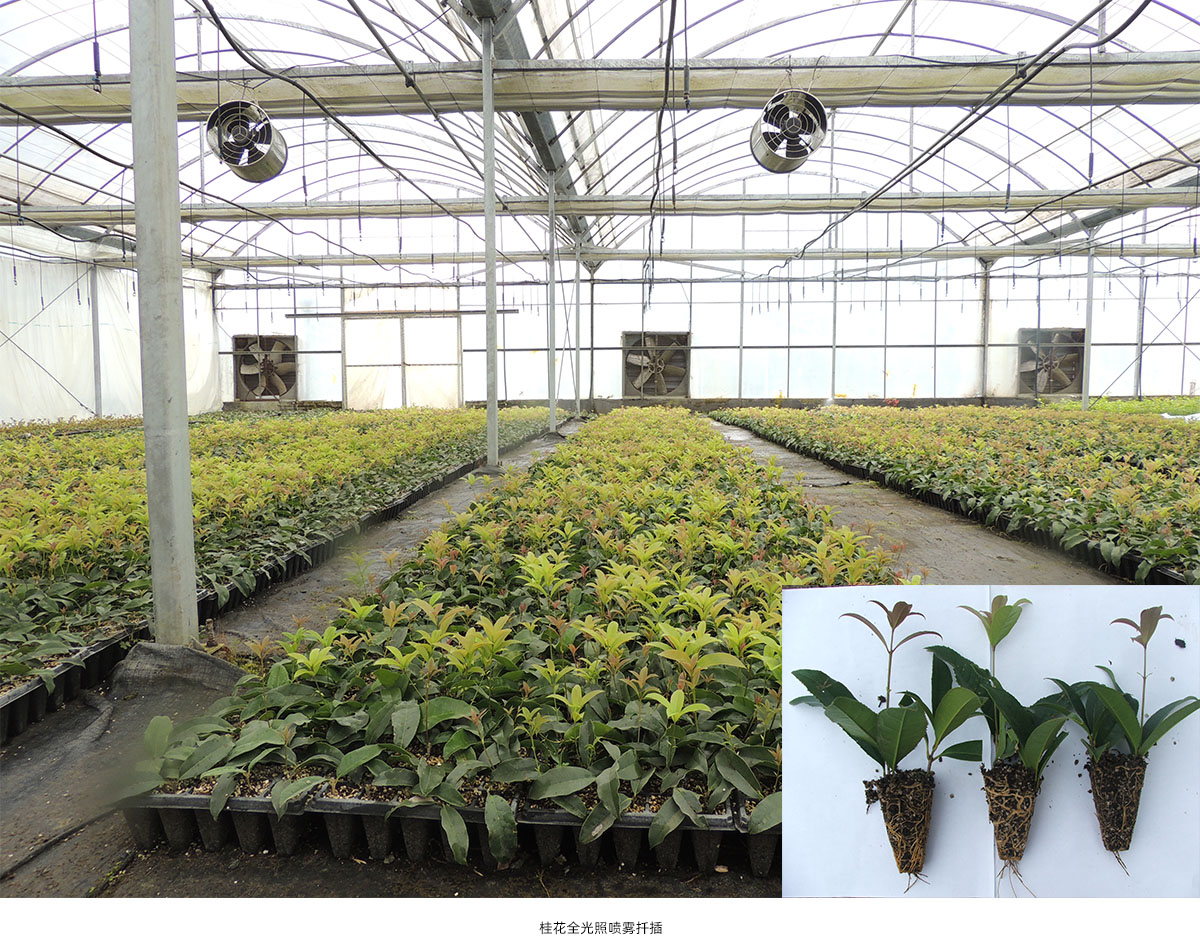 彩运网(中国游)官方网站