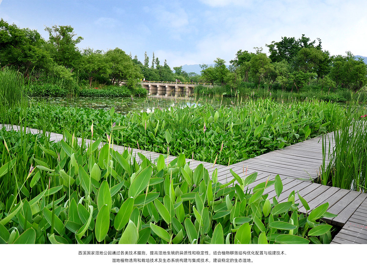 彩运网(中国游)官方网站