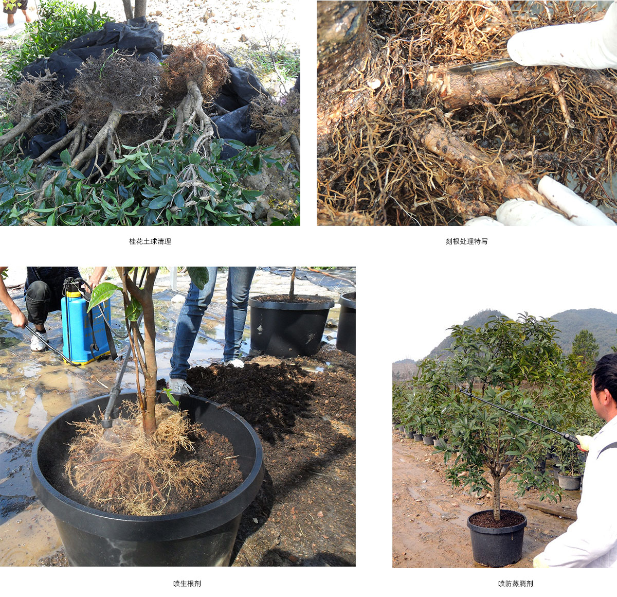 彩运网(中国游)官方网站