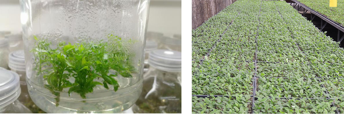 彩运网(中国游)官方网站