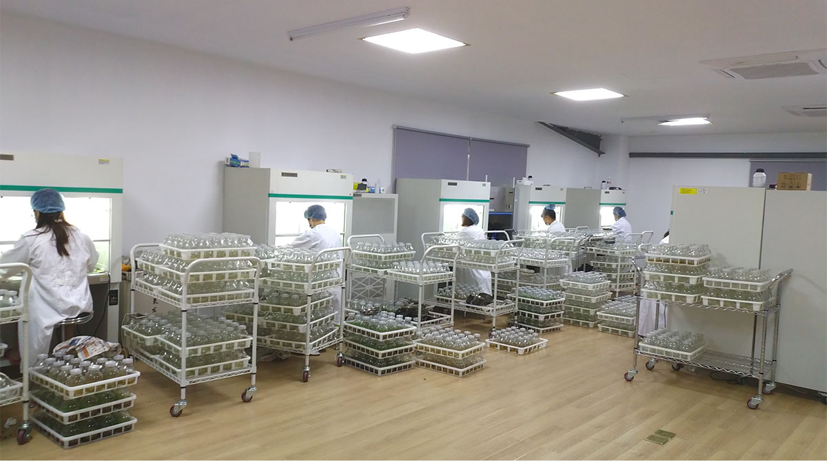 彩运网(中国游)官方网站