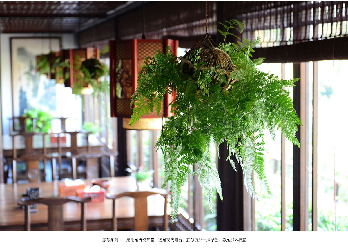 彩运网(中国游)官方网站