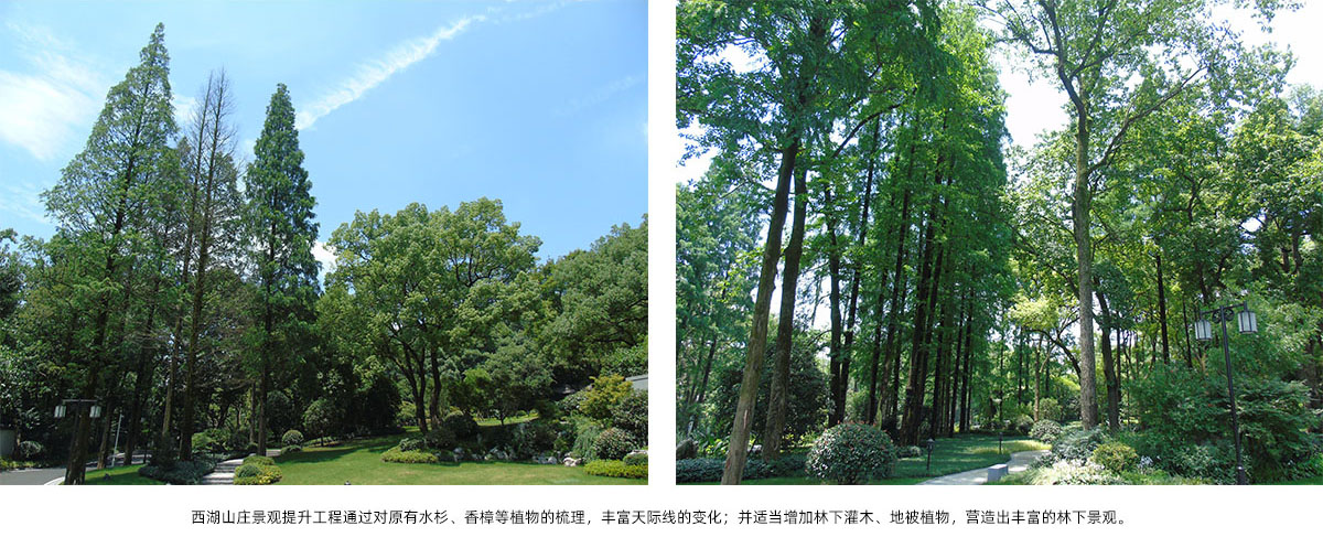 彩运网(中国游)官方网站