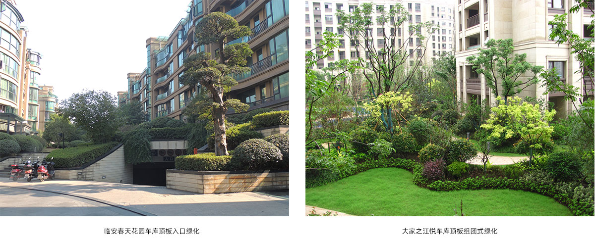 彩运网(中国游)官方网站