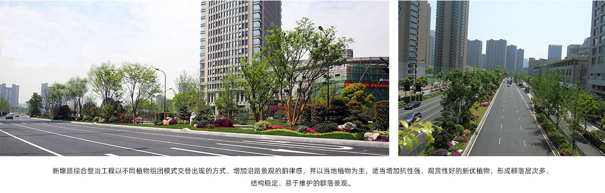 彩运网(中国游)官方网站