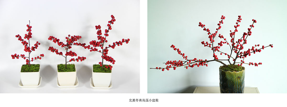 彩运网(中国游)官方网站