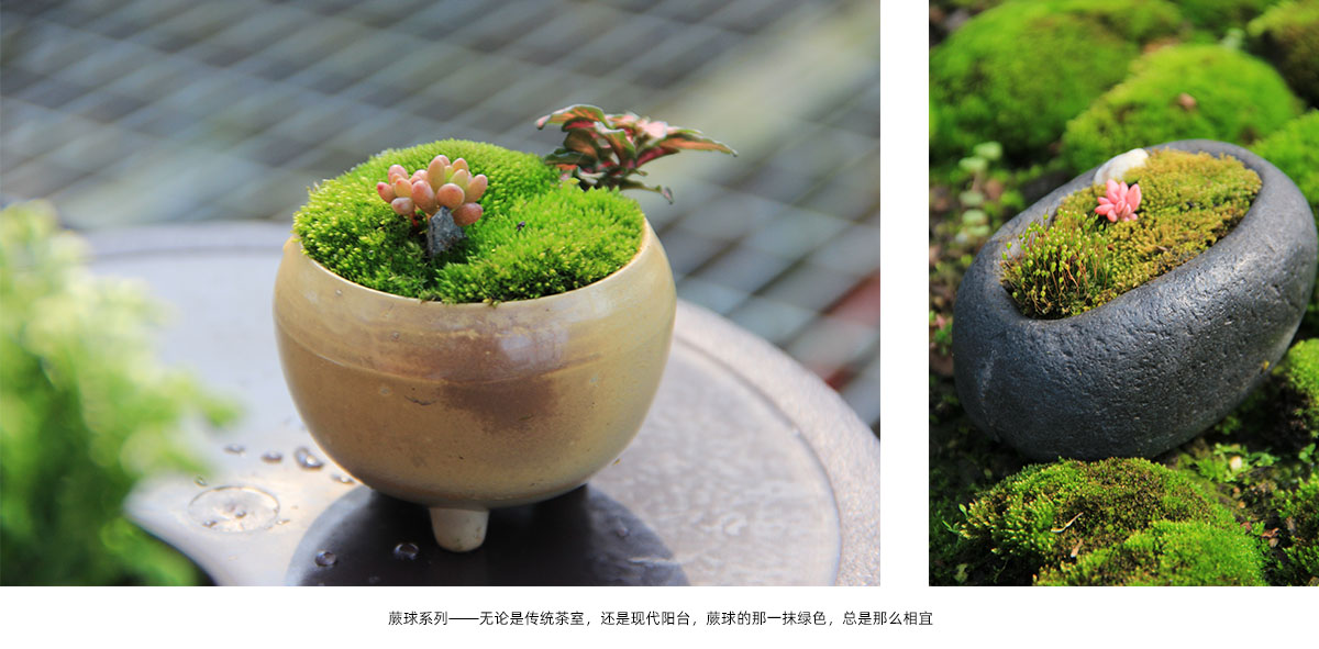 彩运网(中国游)官方网站