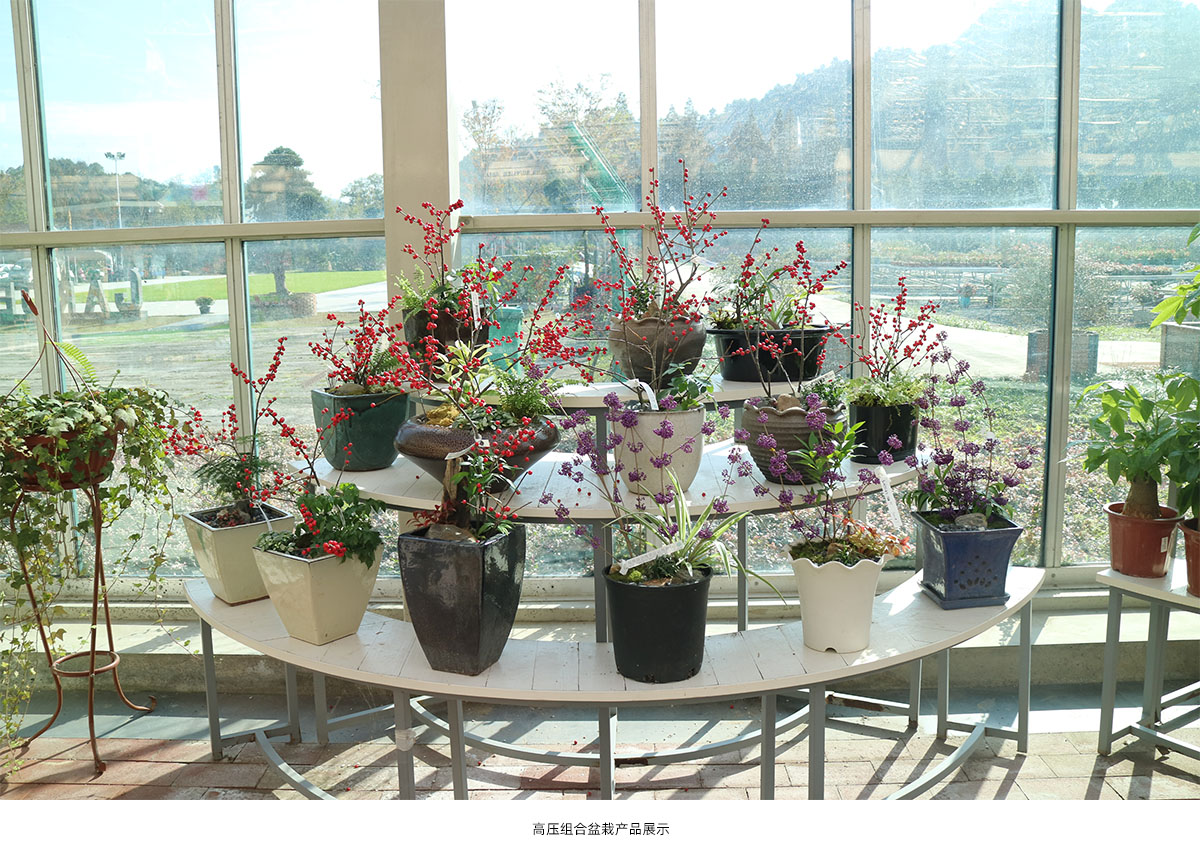 彩运网(中国游)官方网站