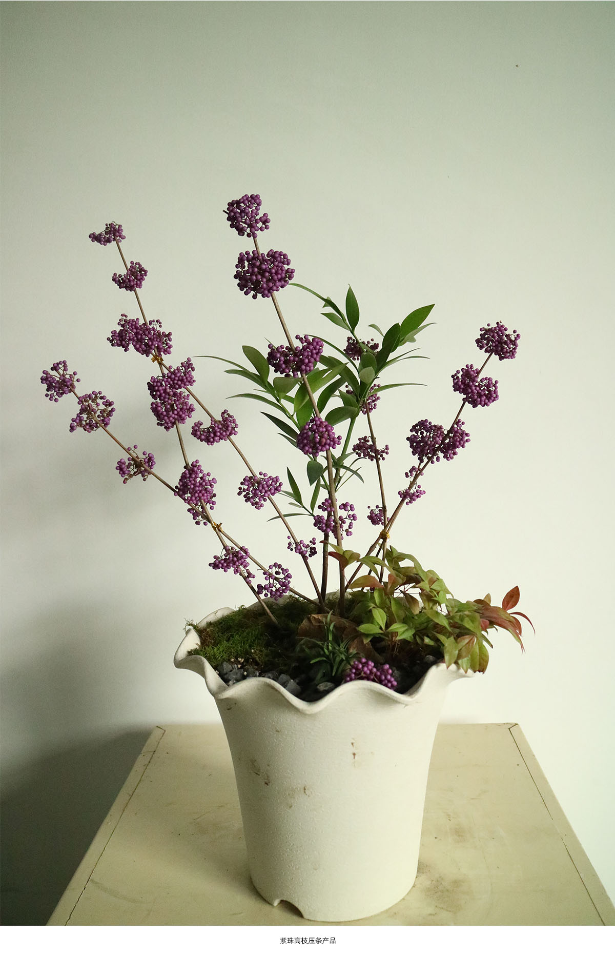 彩运网(中国游)官方网站