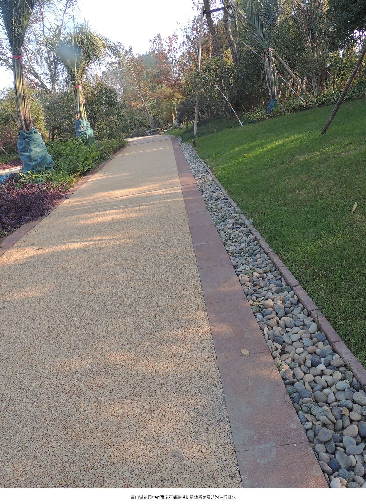 彩运网(中国游)官方网站