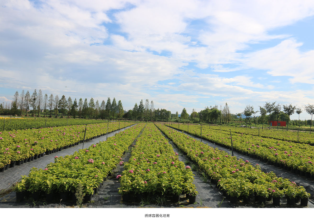 彩运网(中国游)官方网站
