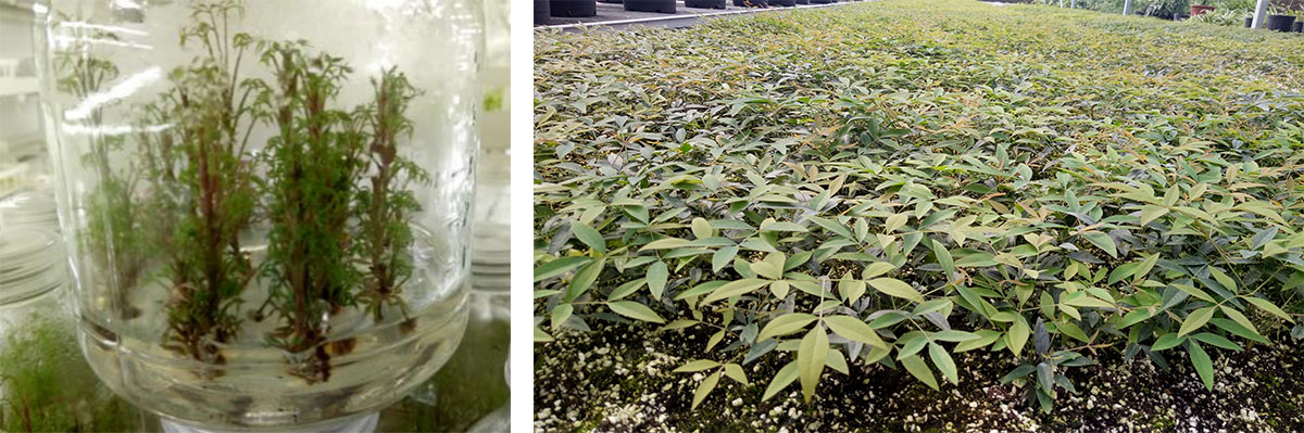 彩运网(中国游)官方网站