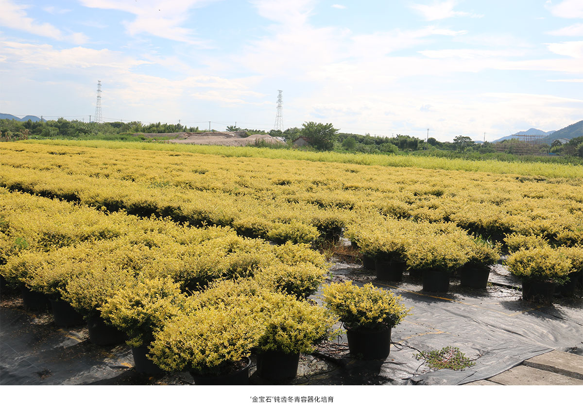 彩运网(中国游)官方网站