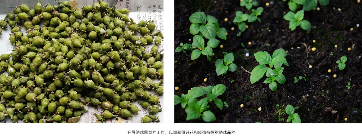 彩运网(中国游)官方网站