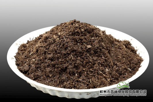 彩运网(中国游)官方网站