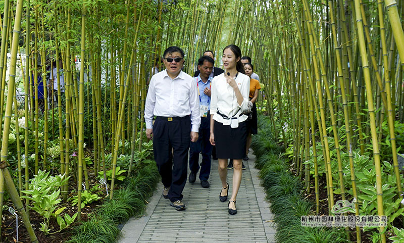 彩运网(中国游)官方网站