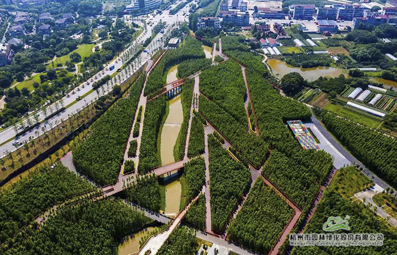 彩运网(中国游)官方网站