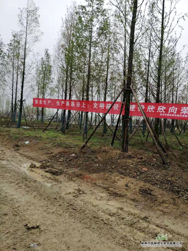 彩运网(中国游)官方网站