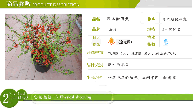 彩运网(中国游)官方网站