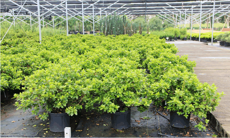 彩运网(中国游)官方网站