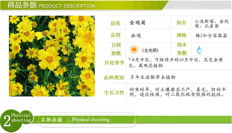 彩运网(中国游)官方网站