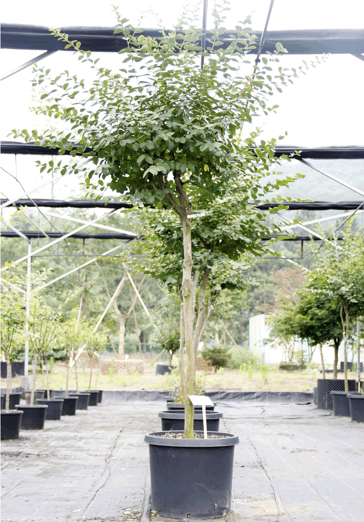 彩运网(中国游)官方网站