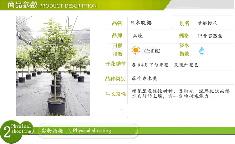 彩运网(中国游)官方网站