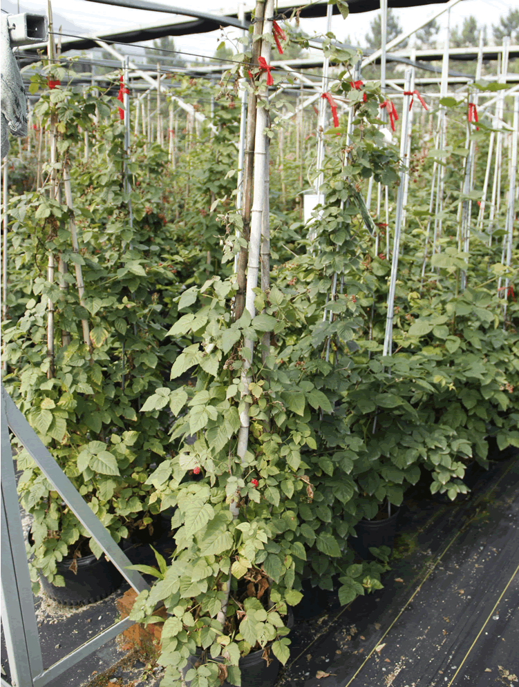 彩运网(中国游)官方网站