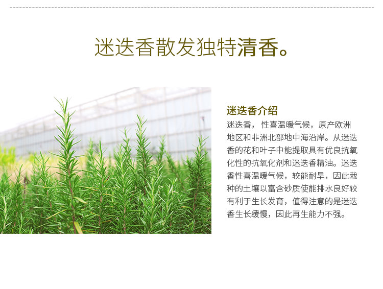 彩运网(中国游)官方网站