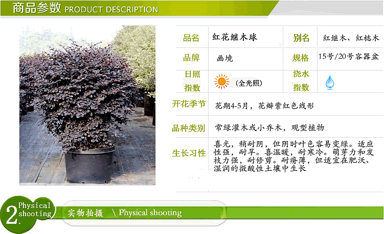 彩运网(中国游)官方网站