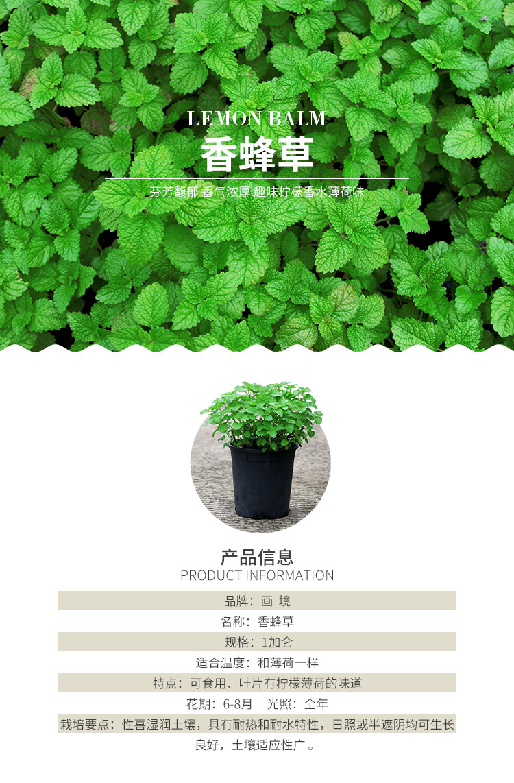 彩运网(中国游)官方网站