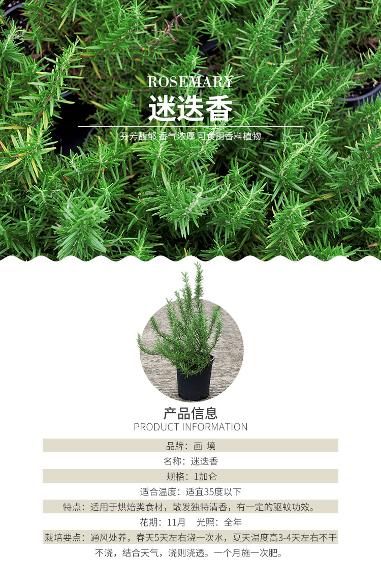 彩运网(中国游)官方网站