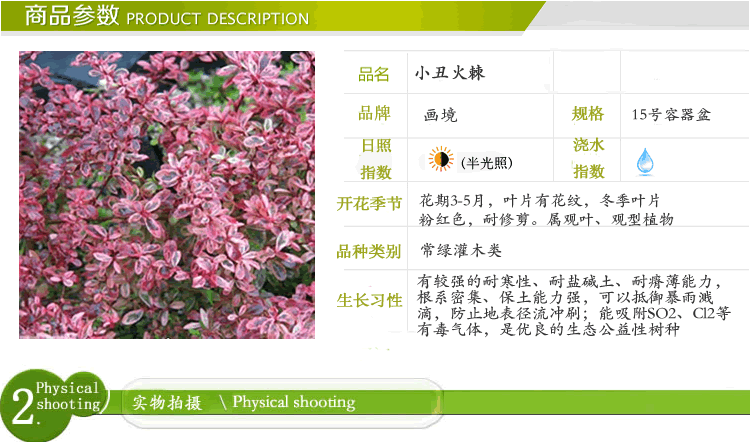 彩运网(中国游)官方网站