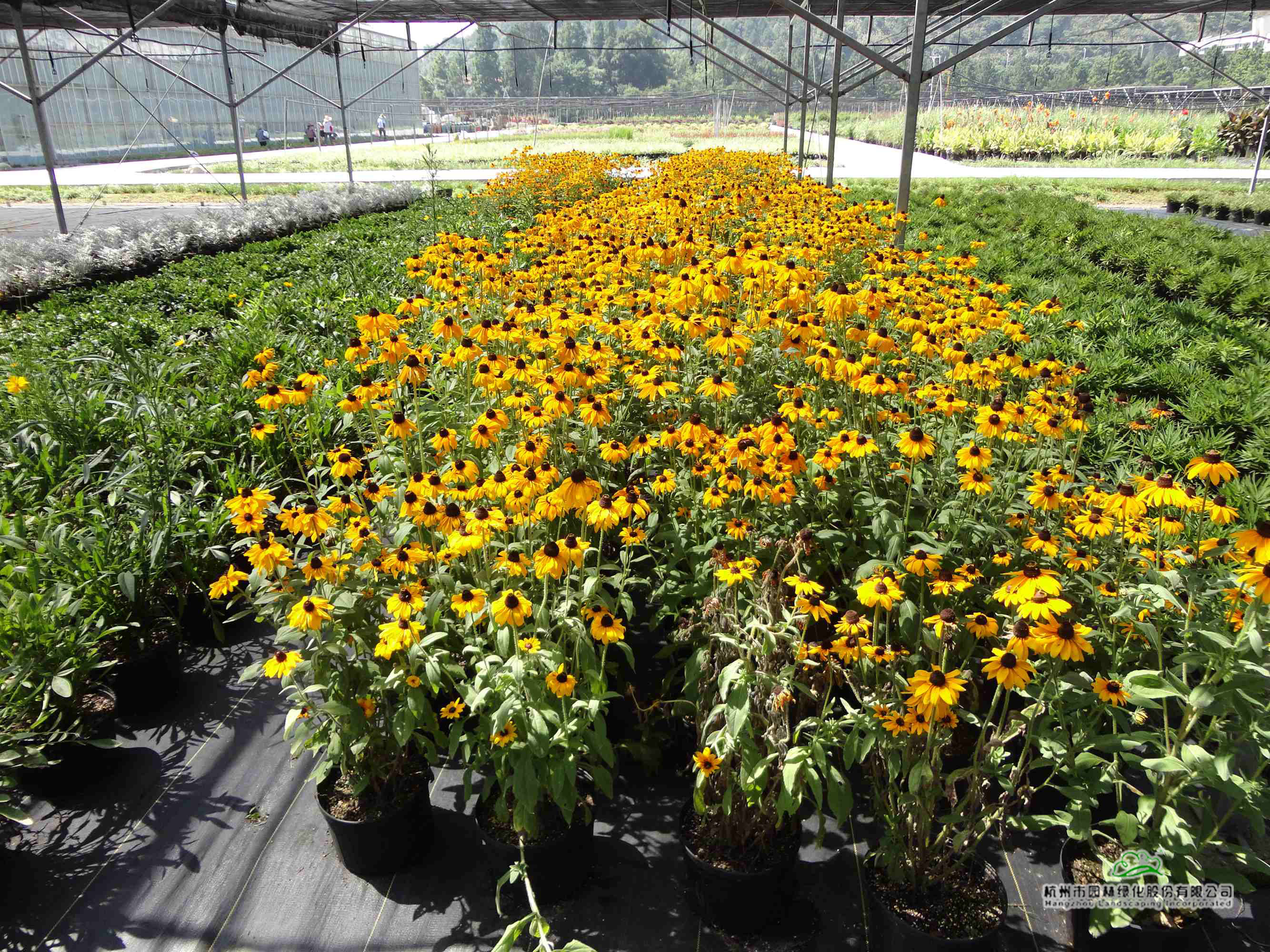 彩运网(中国游)官方网站