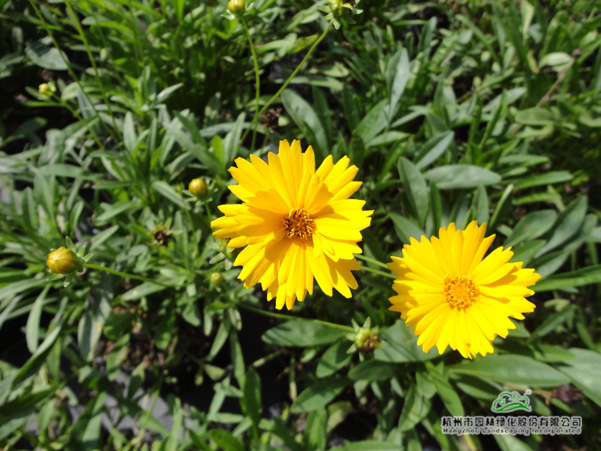 彩运网(中国游)官方网站