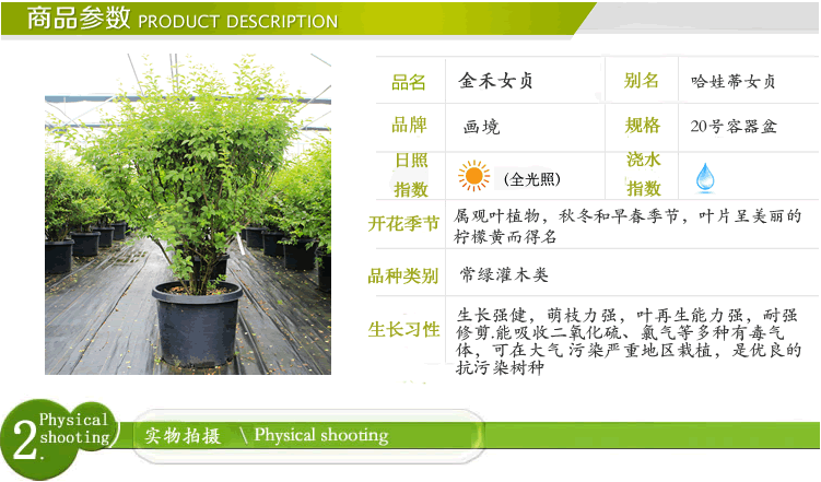 彩运网(中国游)官方网站