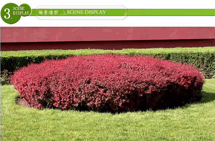 彩运网(中国游)官方网站