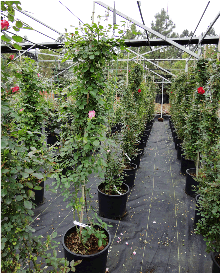 彩运网(中国游)官方网站