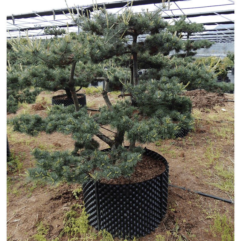 彩运网(中国游)官方网站