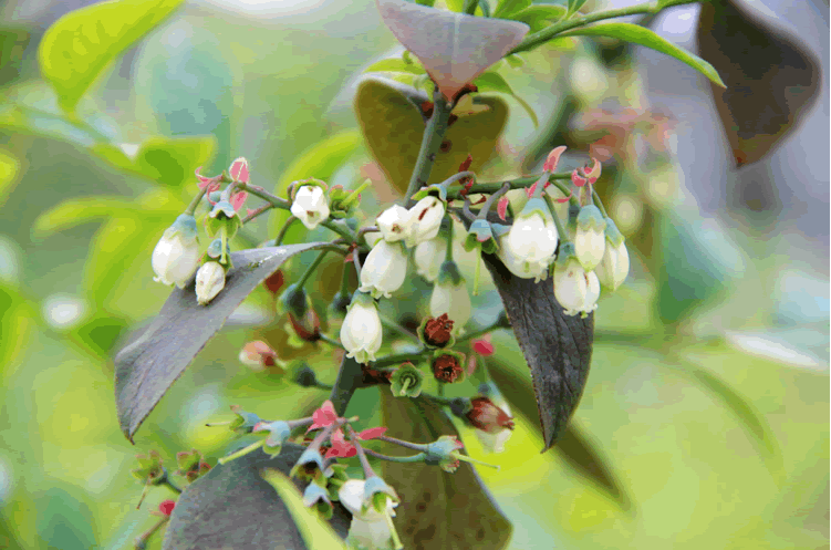 彩运网(中国游)官方网站
