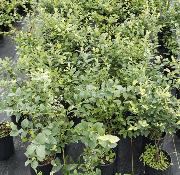 彩运网(中国游)官方网站