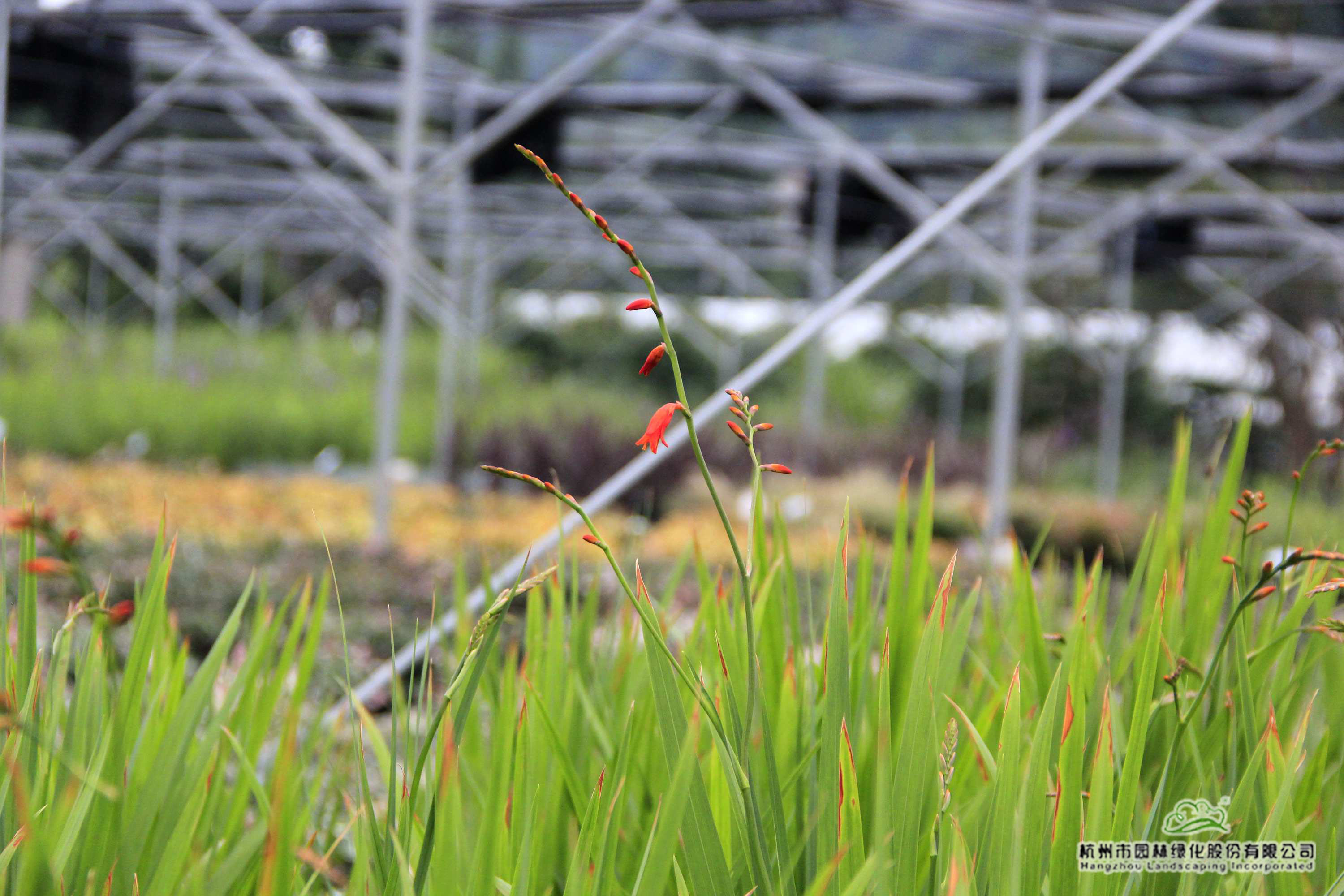 彩运网(中国游)官方网站